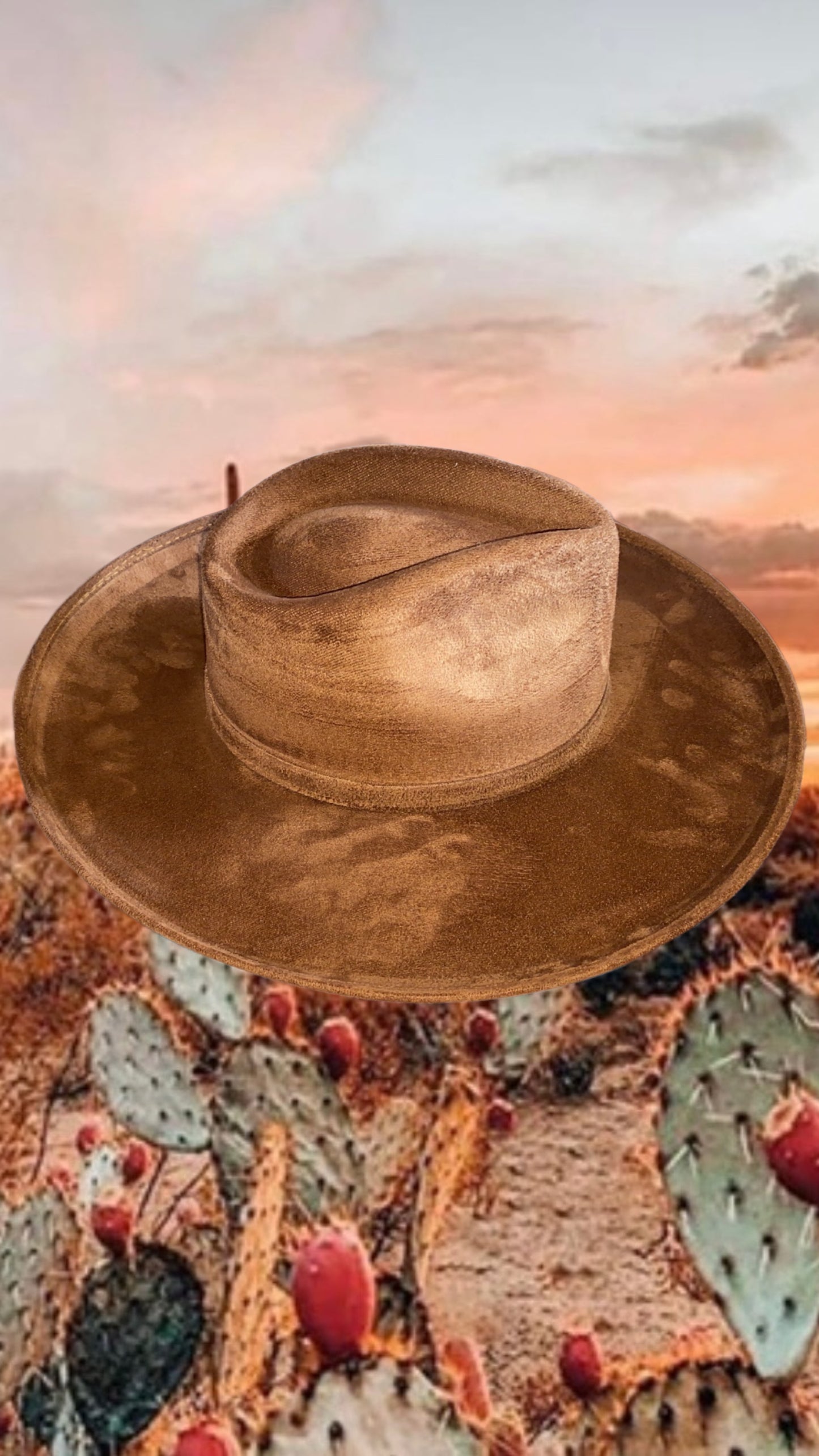 Curvy Fedora