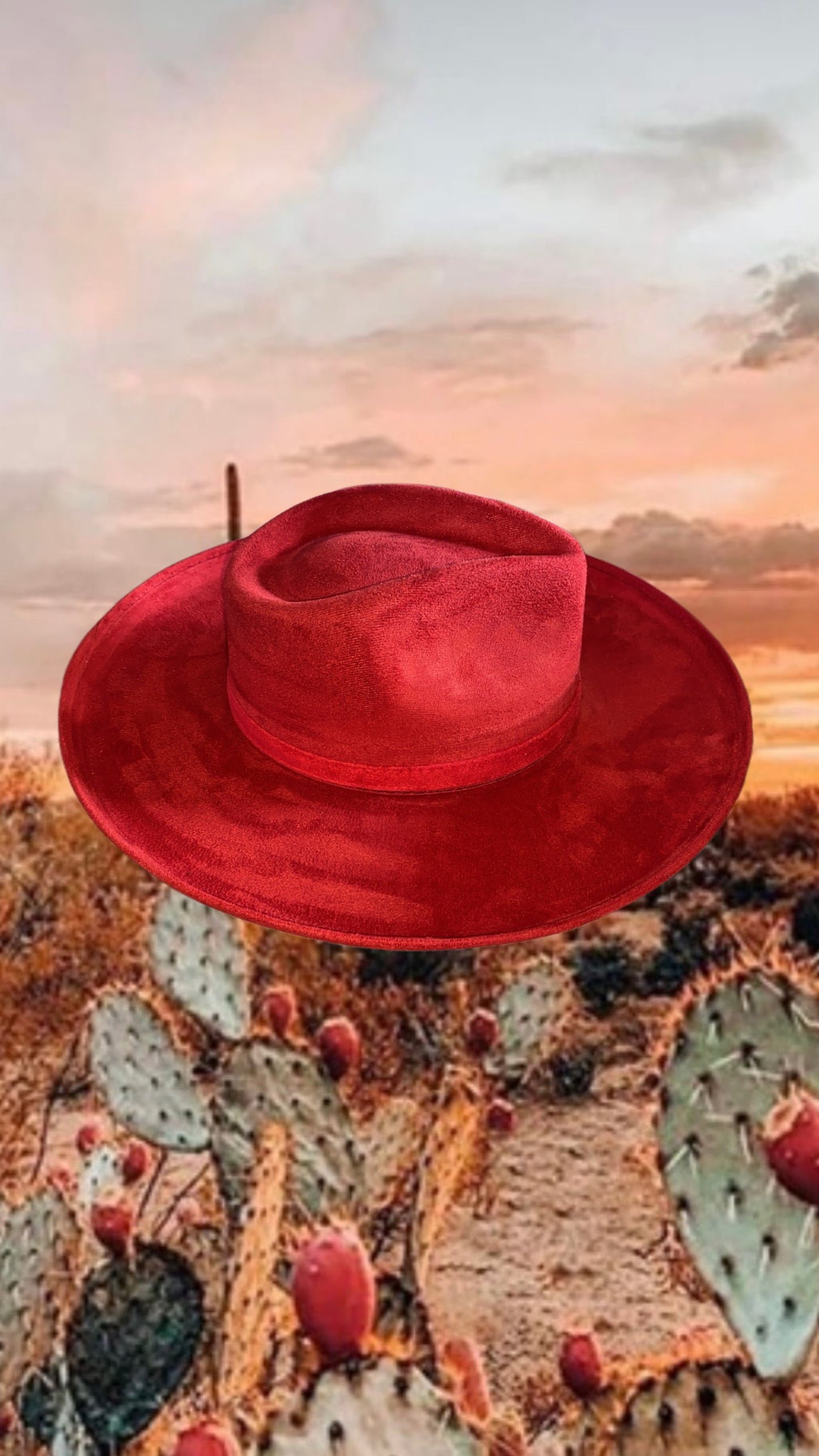 Curvy Fedora